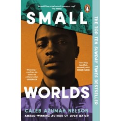 Small Worlds: THE TOP TEN SUNDAY TIMES BESTSELLER