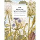 The Book of Wild Flowers: Reflections on Favourite Plants