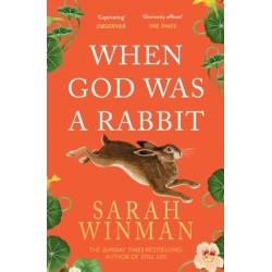 When God was a Rabbit: From the bestselling author of STILL LIFE