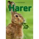 Harer