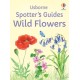 Spotter's Guides: Wild Flowers