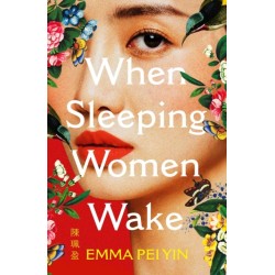 When Sleeping Women Wake: a sweeping historical WW2 novel with female resistance at its heart