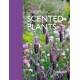 Gardening with Scented Plants