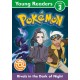Pokemon Young Readers Level 3: Rivals in the Dark of Night