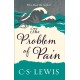 The Problem of Pain