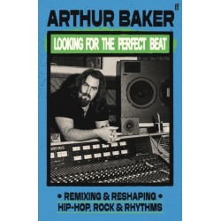Looking for the Perfect Beat: Remixing and Reshaping Hip-Hop, Rock and Rhythms