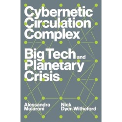 Cybernetic Circulation Complex: Big Tech and Planetary Crisis