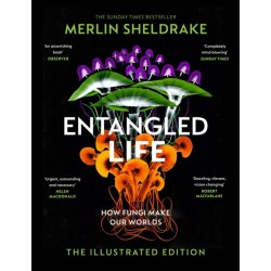 Entangled Life (The Illustrated Edition): A beautiful new gift edition featuring 100 illustrations for Christmas 2023