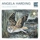 Angela Harding Colouring Book: Make Your Own Art Masterpiece