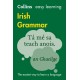 Easy Learning Irish Grammar: Trusted Support for Learning