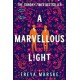 A Marvellous Light: A dazzling, queer romantic fantasy