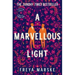 A Marvellous Light: A dazzling, queer romantic fantasy