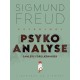 Psykoanalyse: Samlede forelæsninger