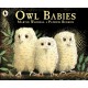 Owl Babies: Over two million copies sold - a heartwarming bedtime picture book story that comforts and reassures - also the perfect gift for toddlers and new parents