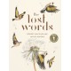 The Lost Words: Rediscover our natural world with this spellbinding book