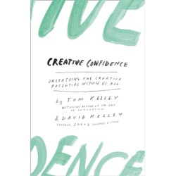 Creative Confidence: Unleashing the Creative Potential within Us All