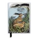 Angela Harding: Rathlin Hares (Foiled Journal)