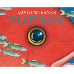 Flotsam: A Caldecott Award Winner