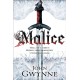 Malice: Award-winning epic fantasy inspired by the Iron Age