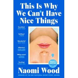 This Is Why We Can't Have Nice Things: Winner of the 2023 BBC National Short Story Award