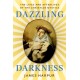 Dazzling Darkness: The Lives and Afterlives of the Christian Mystics