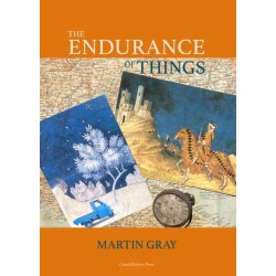 The The Endurance of Things