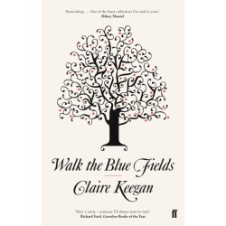 Walk the Blue Fields: 'Pure magic.' Colm Toibin