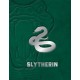 Harry Potter: Slytherin: Tiny Book