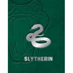 Harry Potter: Slytherin: Tiny Book
