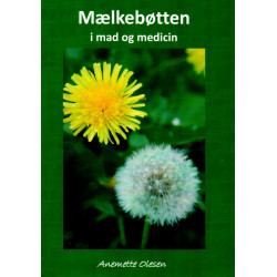 Fandens mælkebøtte: Mælkebøtten i mad og medicin