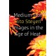 Medium Hot: Images in the Age of Heat