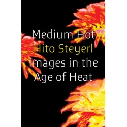 Medium Hot: Images in the Age of Heat