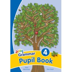 Grammar 4 Pupil Book: In Precursive Letters (British English edition)