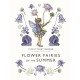 Flower Fairies of the Summer