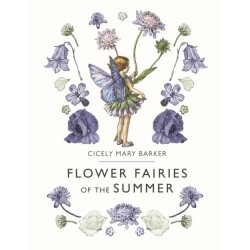 Flower Fairies of the Summer