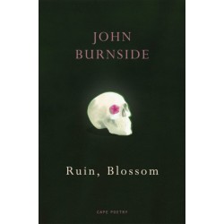 Ruin, Blossom: ‘A master of language’ Hilary Mantel