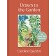 Drawn to the Garden: The Sunday Times Bestseller