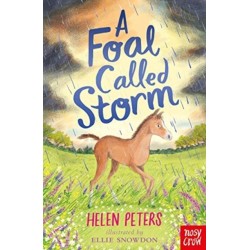 A Foal Called Storm