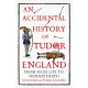 An Accidental History of Tudor England: From Daily Life to Sudden Death