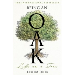Being an Oak: Life as a tree
