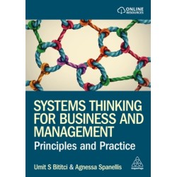 Systems Thinking for Business and Management: Principles and Practice