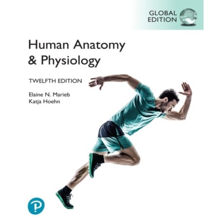 Human Anatomy & Physiology, Global Edition