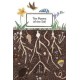 Ten Poems of the Soil