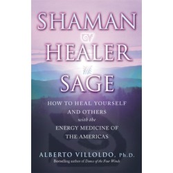 Shaman, Healer, Sage