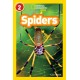 Spiders: Level 2