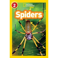 Spiders: Level 2