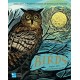 RSPB Birds: Explore their extraordinary world