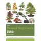 The Bonsai Beginner's Bible: The definitive guide to choosing and growing bonsai