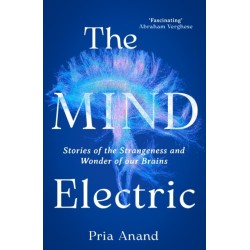 The Mind Electric: 'Lyrical and spellbinding' New Scientist