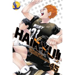 Haikyu!!, Vol. 45